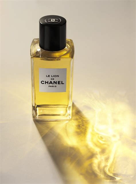 chanel niche perfume|lord and taylor chanel perfume.